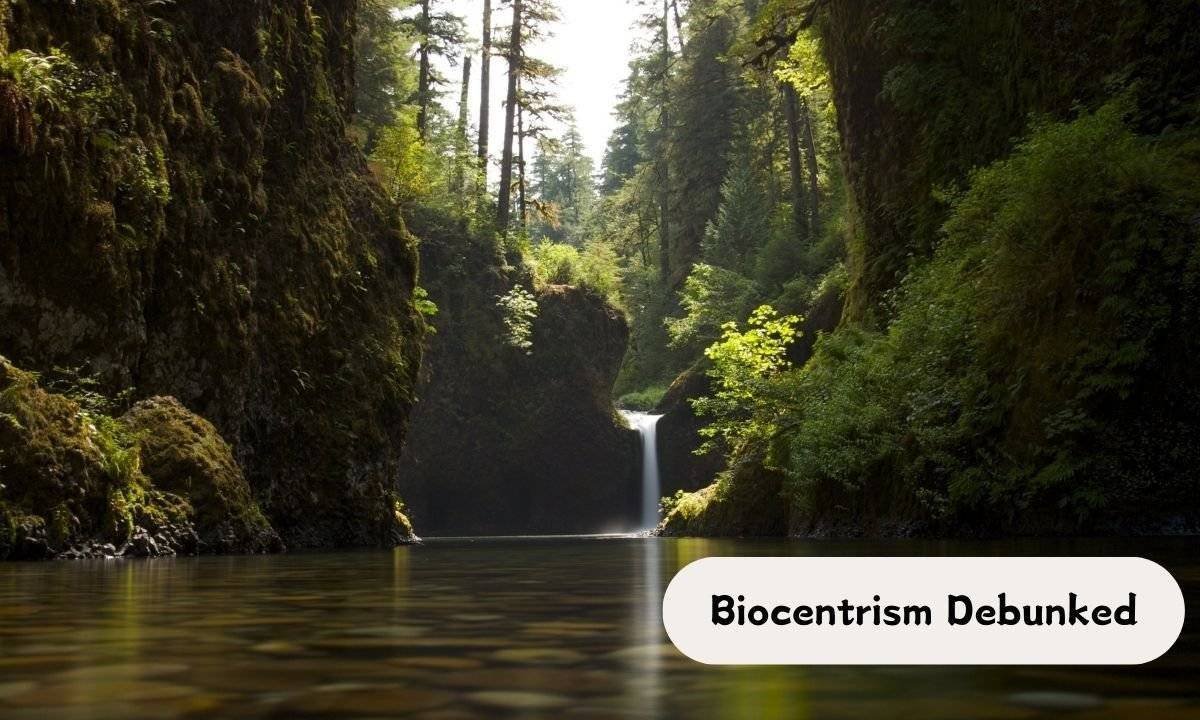 Biocentrism Debunked